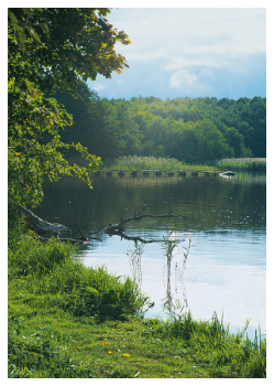 Himmelpfort – Nr. 089